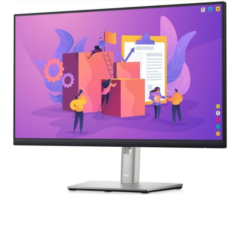 Dell 24" P2422H